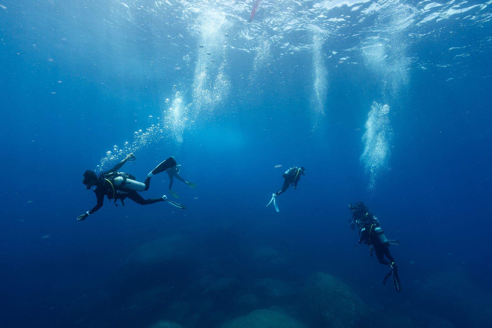 潜降していく仲間たち。ここから玄界灘の旅が始まる