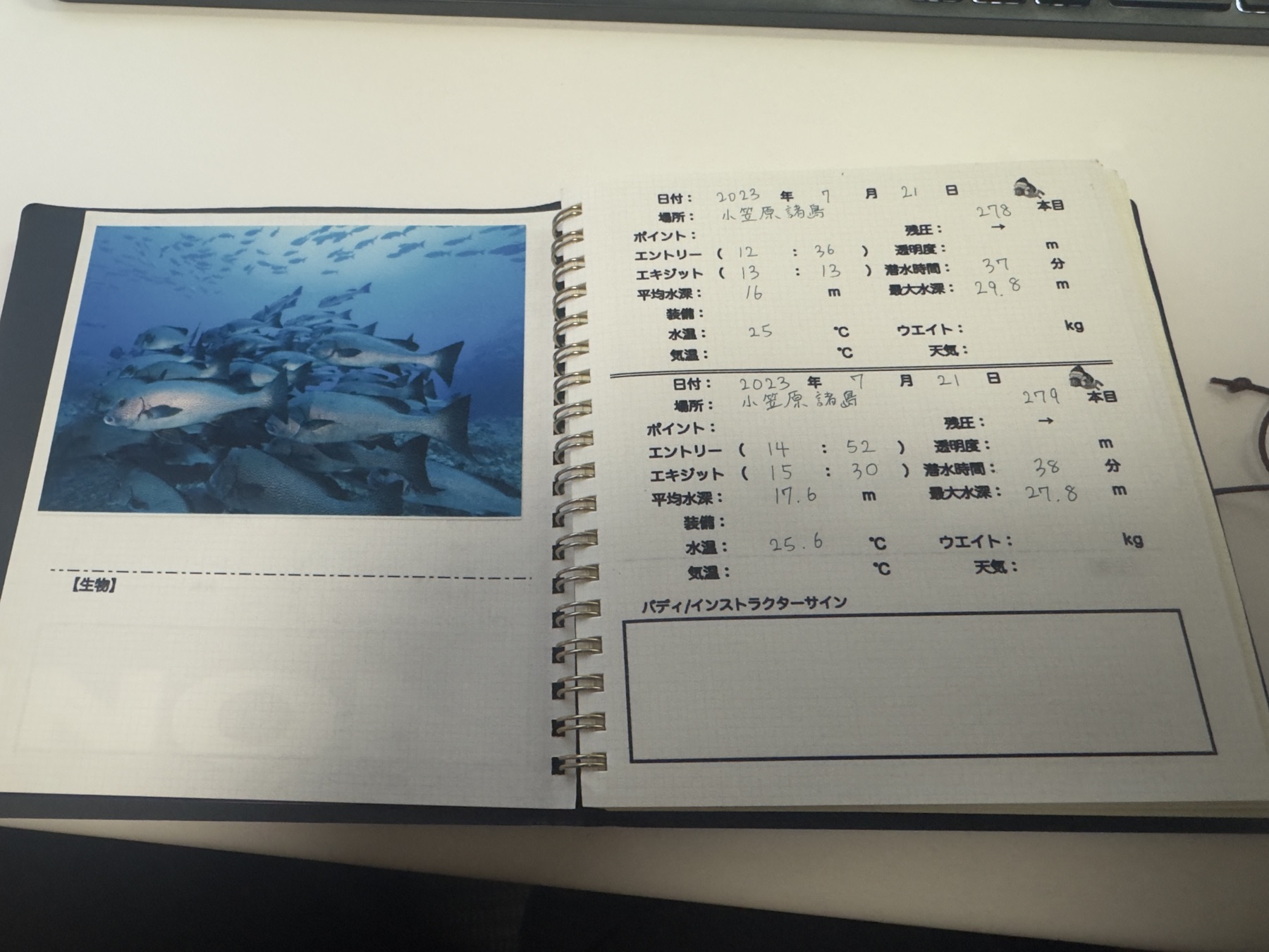 小笠原の群れ写真