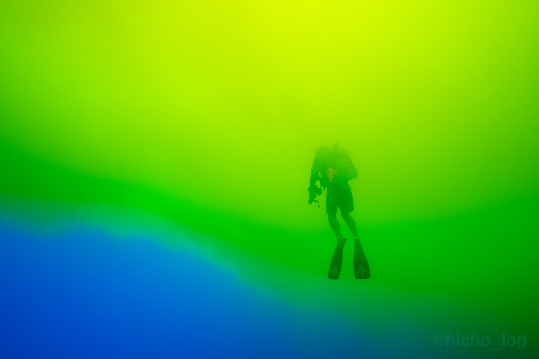 ダイビング中の風景